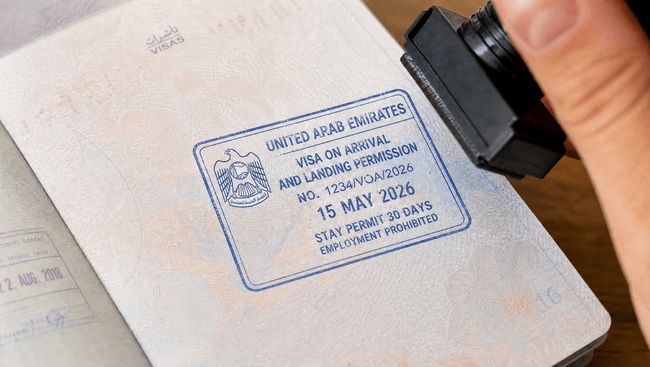 crew visa.png